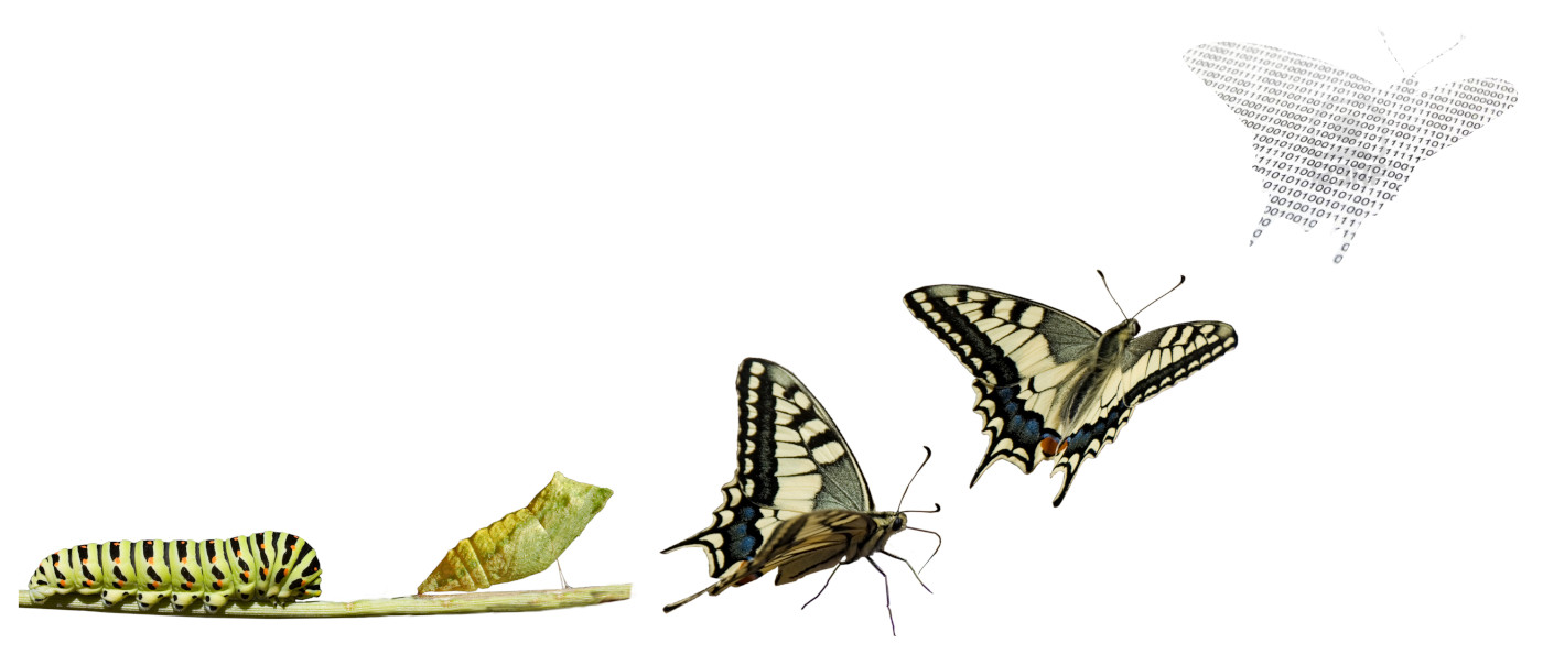 Sarix Digitale Transformation Metamorphose